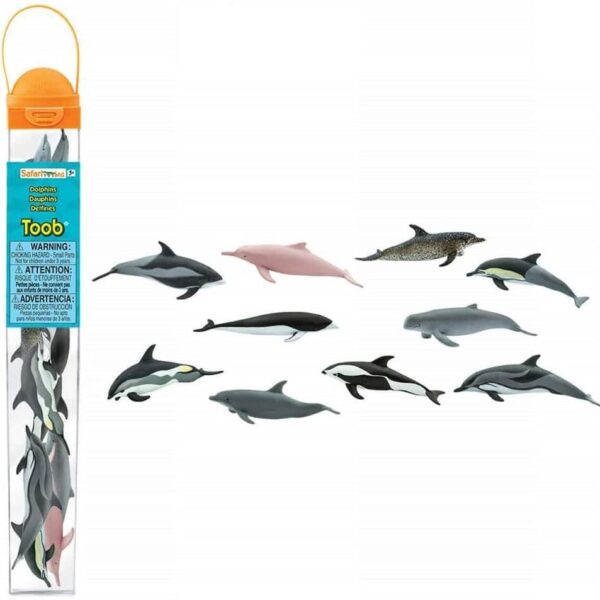 Dolphins