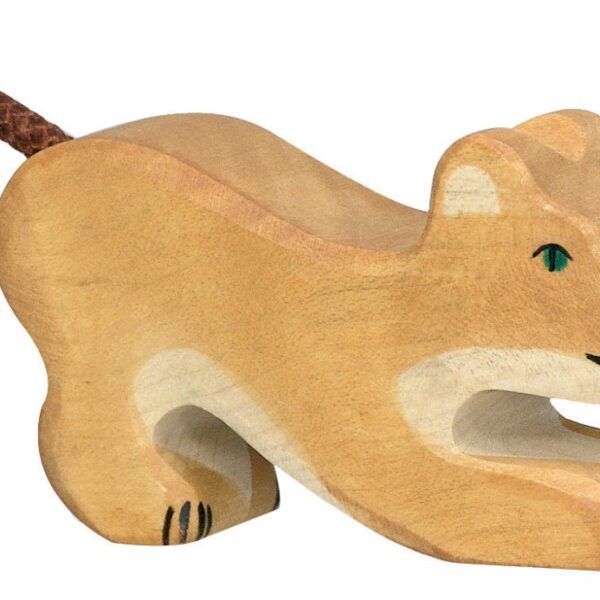 Lion Cub Playing