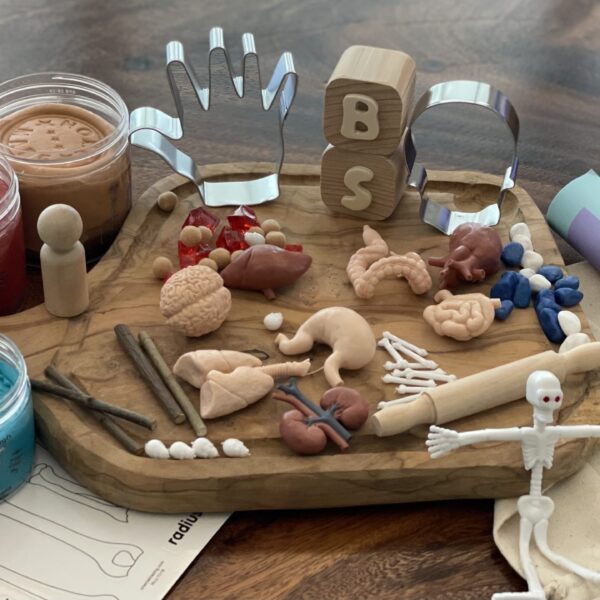 Human Body