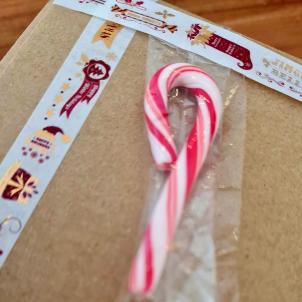 Festive Holiday Box Set - Image 11
