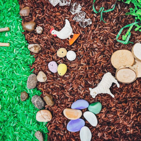Farm Sensory Rice Refill