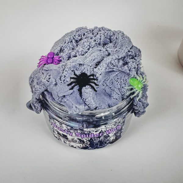 Dusty Spider Web - Image 2