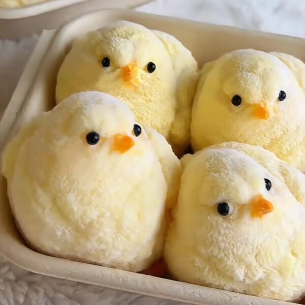 Taba Squishy Chick
